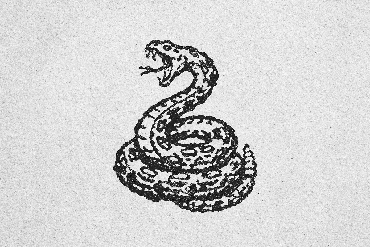 Vintage rattlesnake illustration, an Animal Illustration by lettett (Photo 3 of 3)