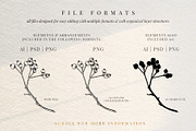 The Digital Florist Vintage Garden, an Illustration by Sophia J Caldwell (Thumbnail 15 of 20)