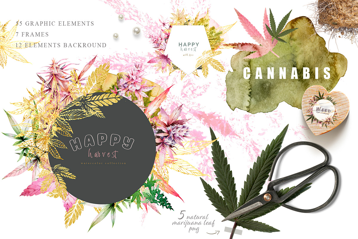 Cannabis. Marijuana harvest set., a Decorative Illustration by Ann Art Houze (Photo 2 of 10)