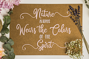 Alyssum Blossom, a Script Font by Bombastype (Thumbnail 9 of 11)
