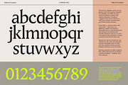 Pavilion Serif Typeface, a Serif Font by God Control (Thumbnail 10 of 12)