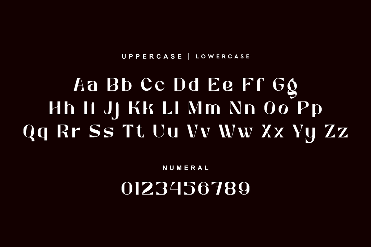 Newgon - Luxury Bold Font, a Sans Serif Font by QR Design Studio (Photo 6 of 12)