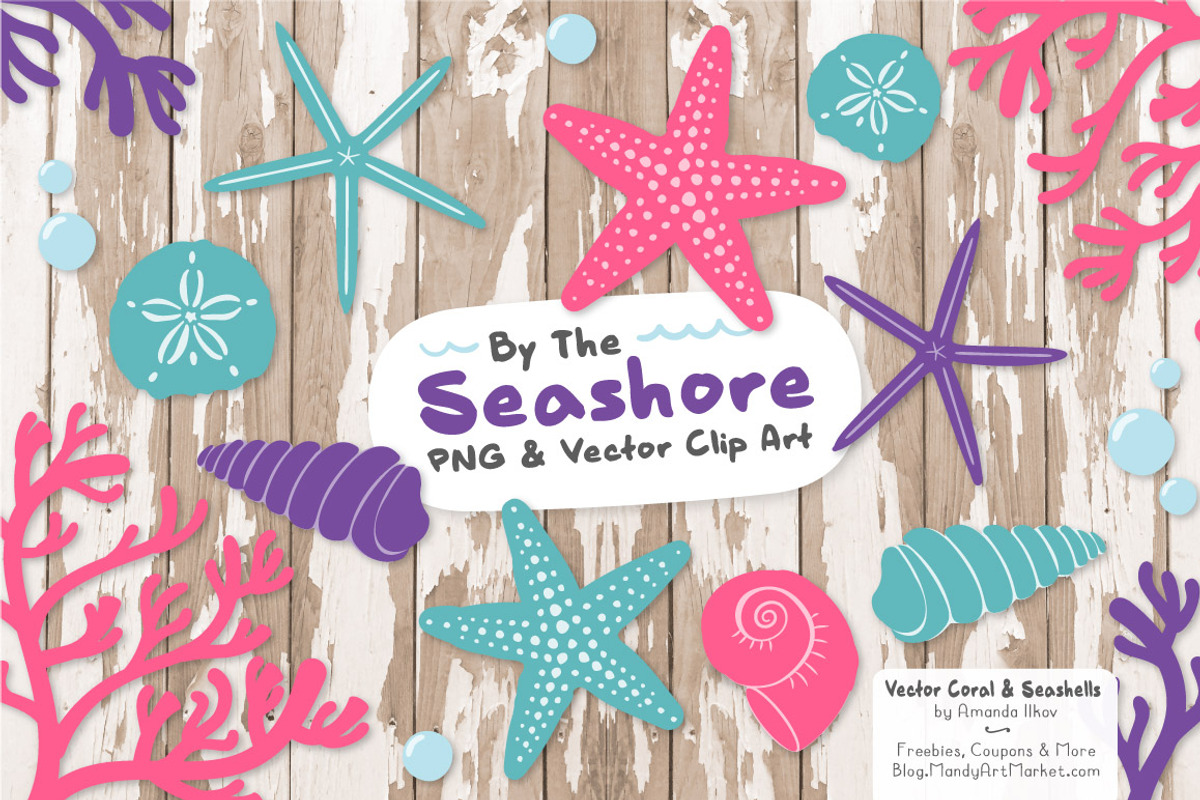 Seashells Clipart in Crayon Box, an Illustration by Amanda Ilkov (Photo 2 of 5)