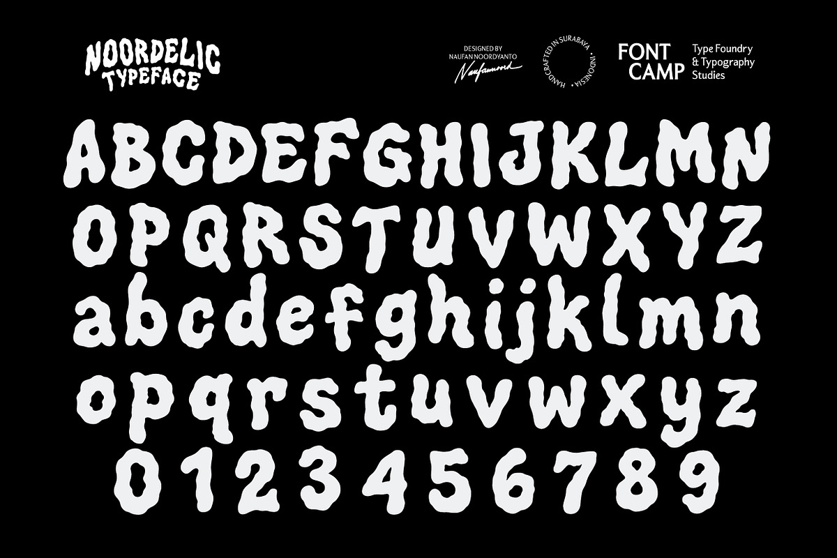 Noordelic Font, a Symbol Font by Fontcamp Type Foundry (Photo 5 of 14)