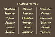 Radens - Vintage Bold Script, a Script Font by Almarkhatype (Thumbnail 11 of 12)