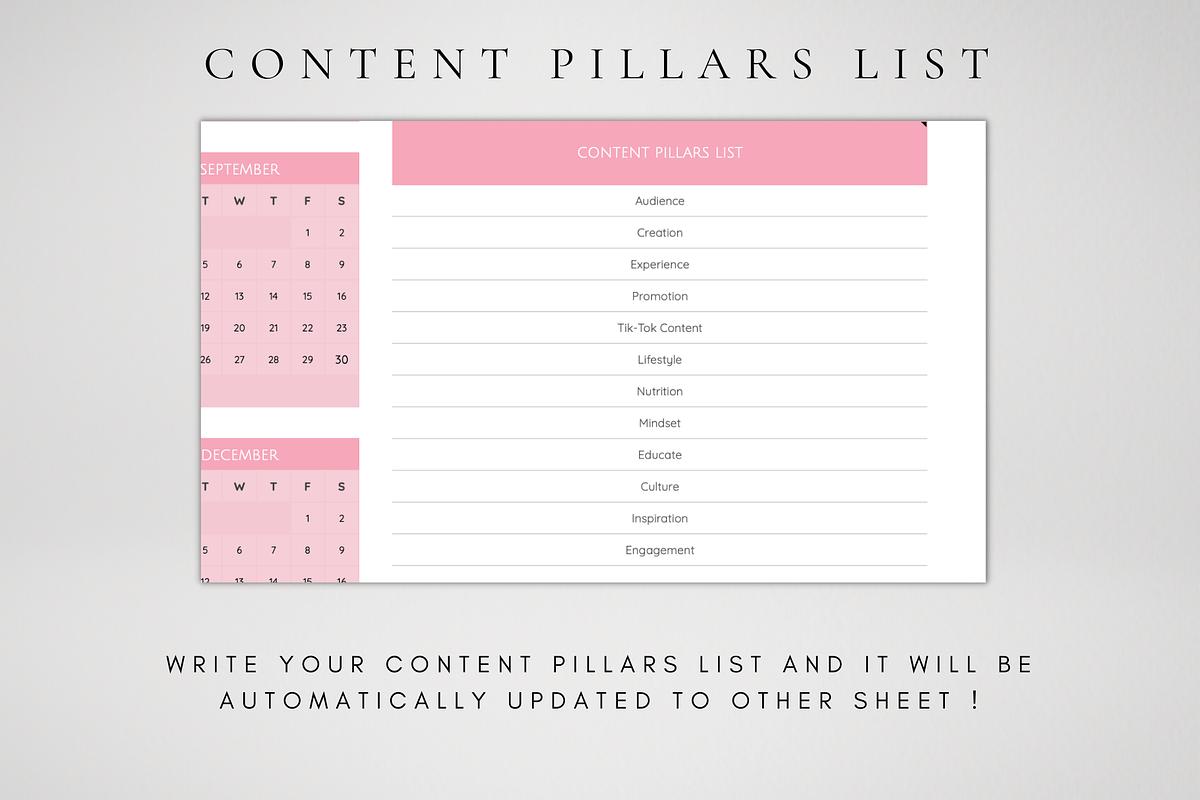 Google Sheets Social Media Planner, a Templates & Theme by BRANDcontent (Photo 6 of 9)