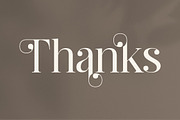 Ragiften Modern Serif Font, a Serif Font by Letterena Studios (Thumbnail 15 of 15)