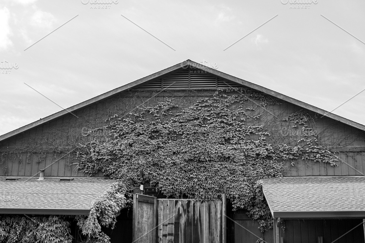 Black and White - Winery Barn, a Photo by preetim (Photo 1 of 2)