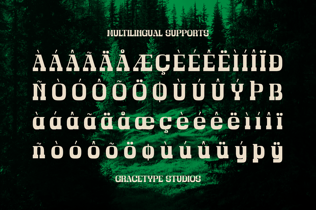 Bravo Amori | Display Slab Serif, a Slab Serif Font by gracetype_studio (Photo 11 of 12)