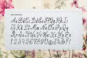 Nawiyla | Handwritten Script, a Script Font by gracetype_studio (Thumbnail 9 of 11)
