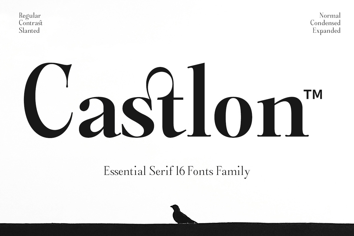 Castlon | 16 Fonts, a Serif Font by Skinny Type (Photo 1 of 10)