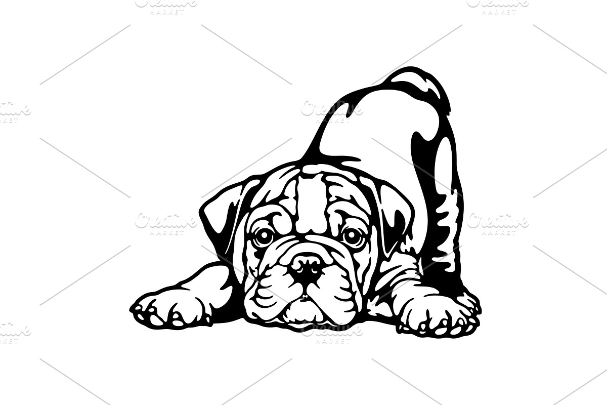 puppy English Bulldog Dog Breed -, an Animal Illustration by Digital-Clipart