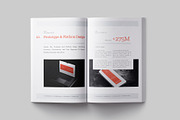 White Paper Template, a Brochure Template by Designsoul14 (Thumbnail 10 of 13)