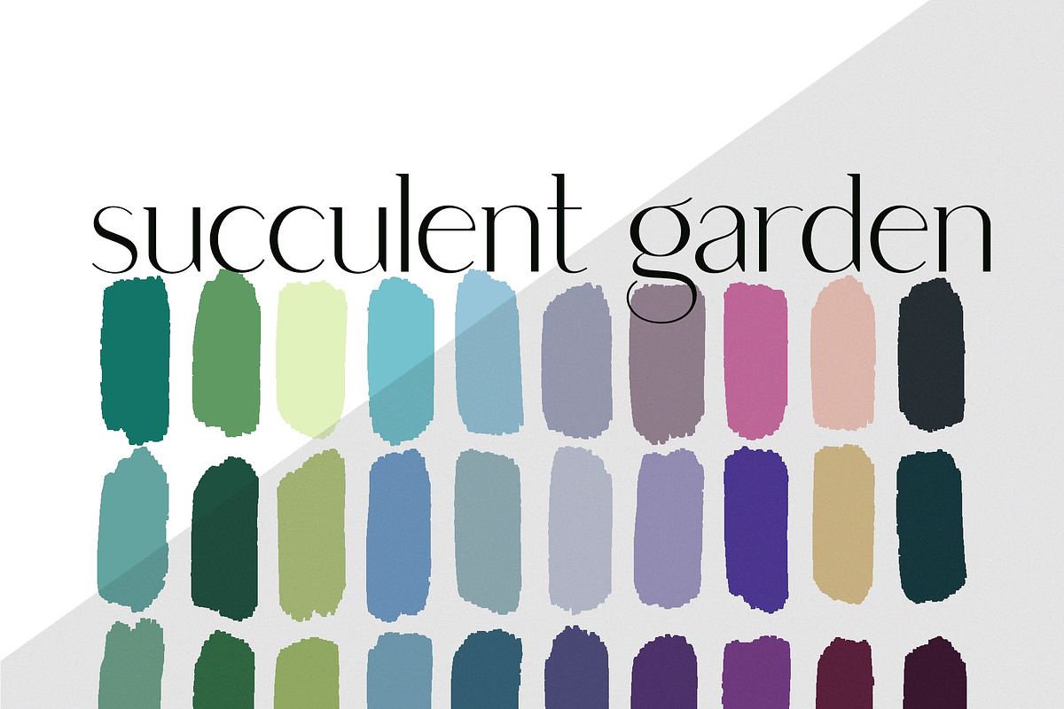 Shaded Succulent Procreate Stamps, a Brush Add-On by AureDesignCo (Photo 3 of 3)