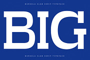 Burgela Slab Serif Typeface, a Slab Serif Font by Letterena Studios (Thumbnail 8 of 15)