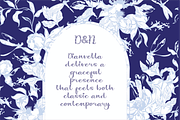 Dianvella | A Embroidery Script Font, a Handwritten Font by Berdansabersama (Thumbnail 6 of 9)