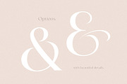 Argue - Stylish Font, a Sans Serif Font by Sarid Ezra (Thumbnail 10 of 12)