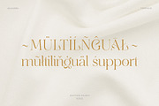 Quagera | Serif Font, a Serif Font by Digitype Studio (Thumbnail 10 of 12)