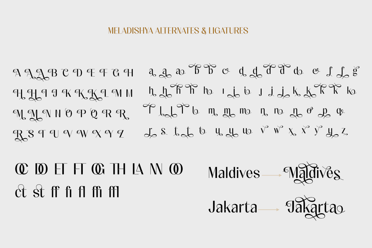 Meladishya, a Sans Serif Font by Differentialtype (Photo 5 of 9)