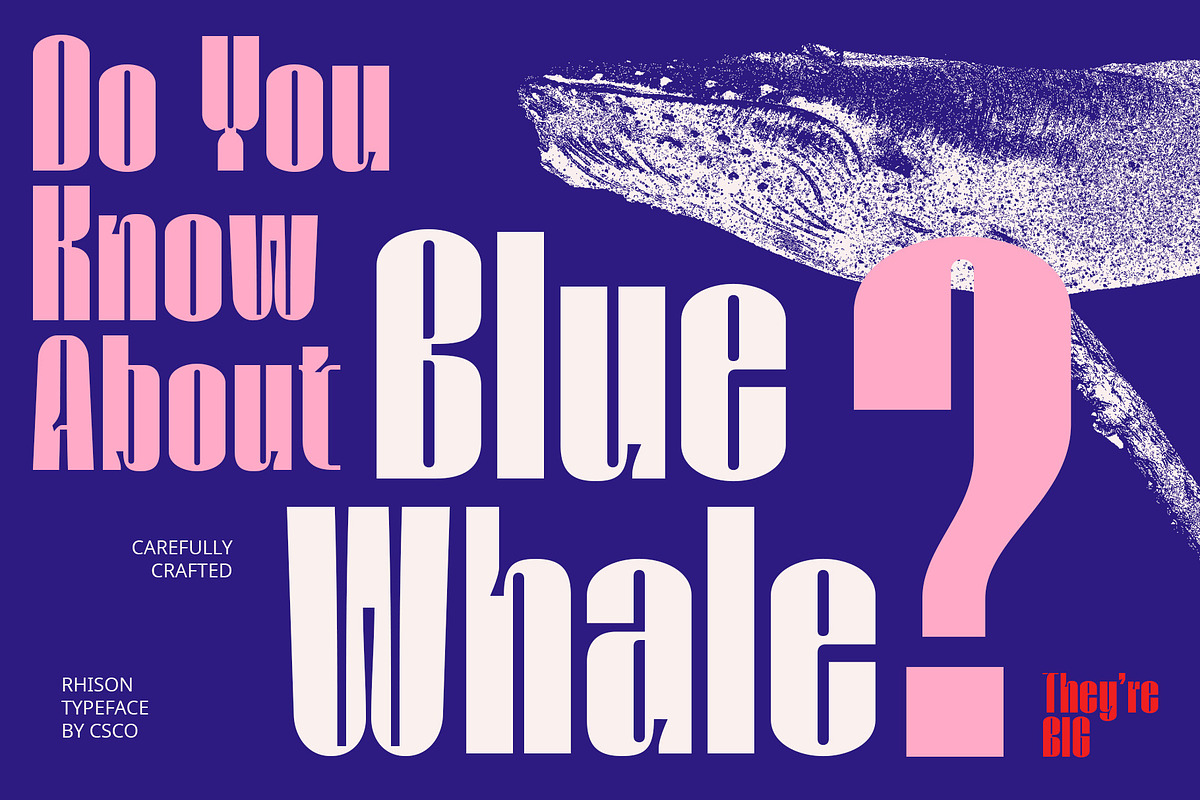 Rhison – Condensed Font, a Sans Serif Font by Craft Supply Co. (Photo 2 of 8)