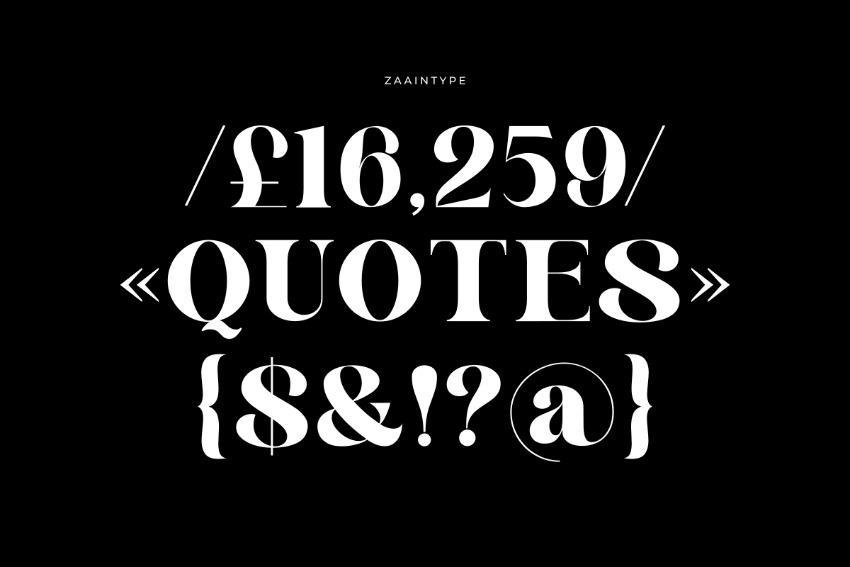 Astelin, a Serif Font by zaaintype (Photo 15 of 15)