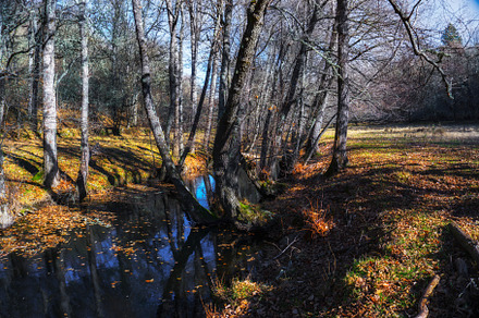 Wild River landscape. Sanabria,Spain, a Nature Photo by Shootdiem