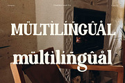 Dorgan, a Serif Font by Flawless And Co (Thumbnail 9 of 12)