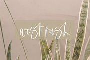 Stillness | Modern Script Font, a Script Font by KA Designs (Thumbnail 9 of 14)