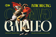 Garaleo Modern Luxury Serif, a Script Font by timelesstype.co (Thumbnail 1 of 20)
