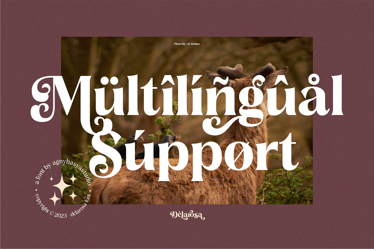 Delarosa - A Decorative Serif, a Serif Font by agnyhasyastudio (Photo 9 of 17)