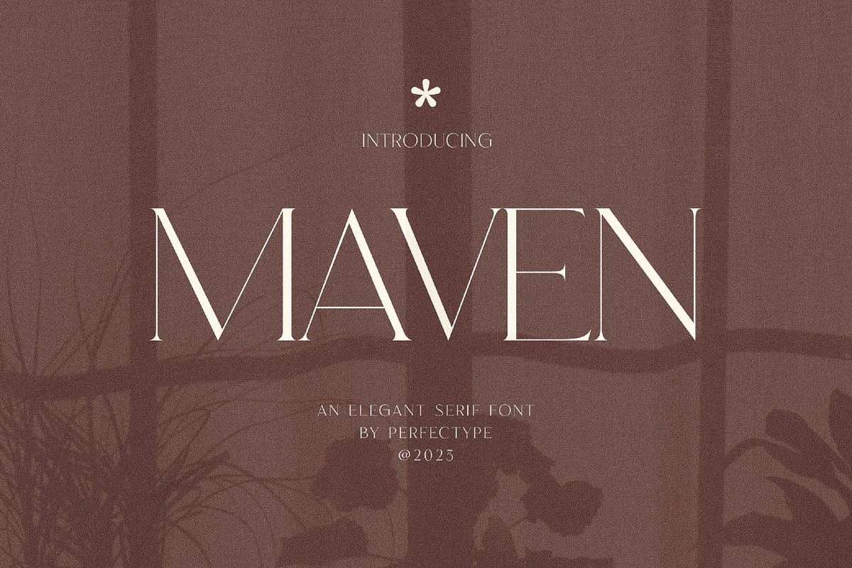 Maven Elegant Serif Font Typeface, a Serif Font by Perfectype (Photo 1 of 10)
