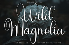 Wild Magnolia