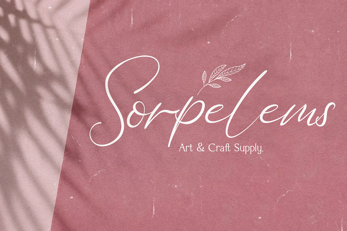 Bellamy Signature - Handwritten Font, a Script Font by StringLabs (Photo 5 of 13)