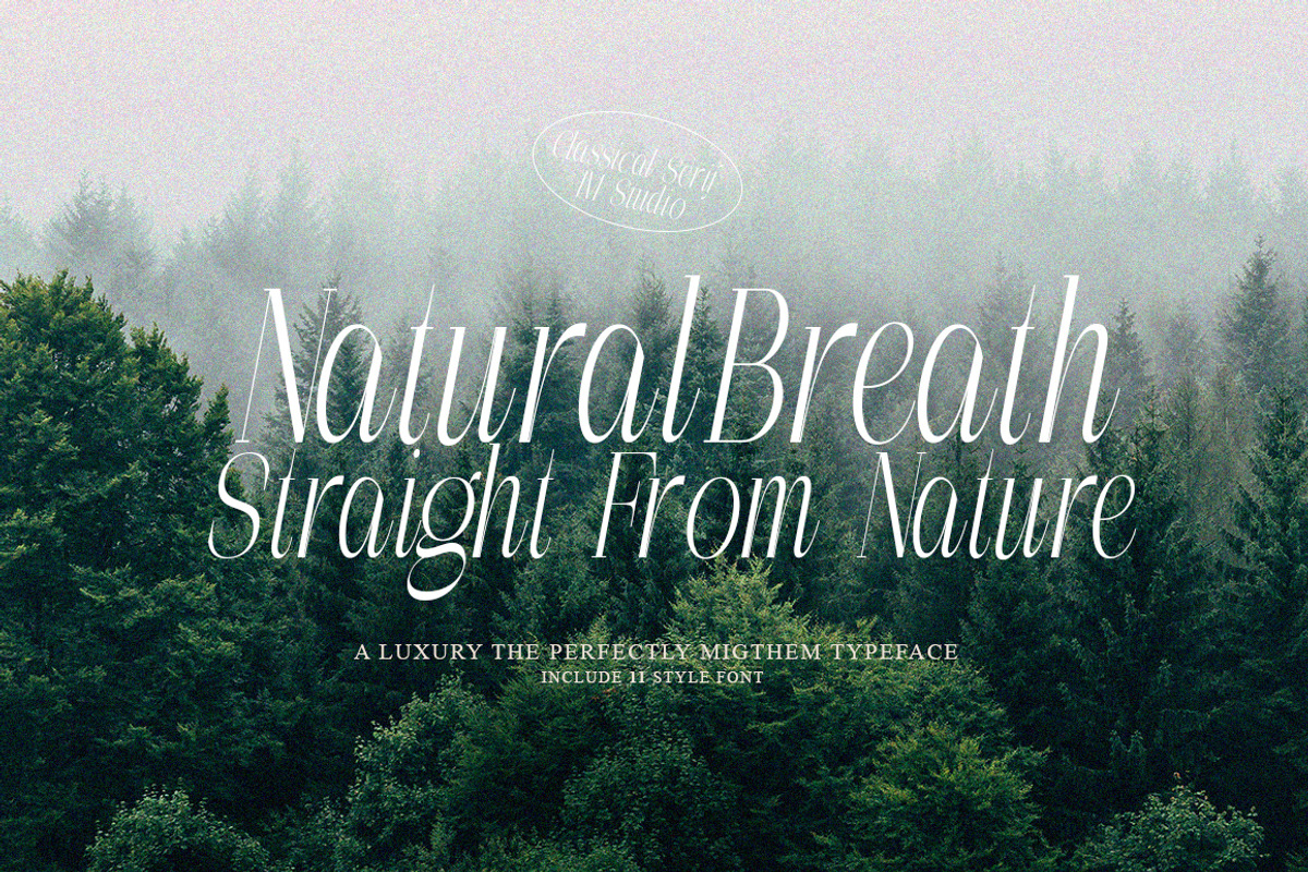 The Perfectly Migthem (11 Font), a Serif Font by IM Studio (Photo 7 of 9)