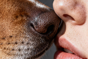Love Between Human and Dog, an Animal Photo by Virgo Studio