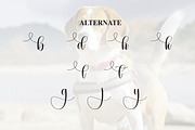 Beagle | Script Font, a Handwritten Font by Scratchones (Thumbnail 8 of 9)