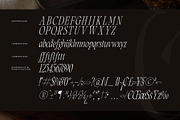 Clamofte Modern Stylish Serif, a Serif Font by Letterena Studios (Thumbnail 14 of 15)