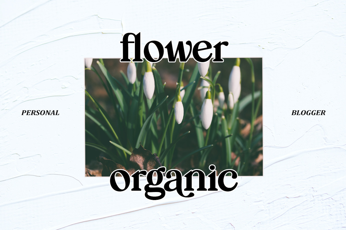Mogila Display Font, a Serif Font by Letter Fresh (Photo 4 of 8)