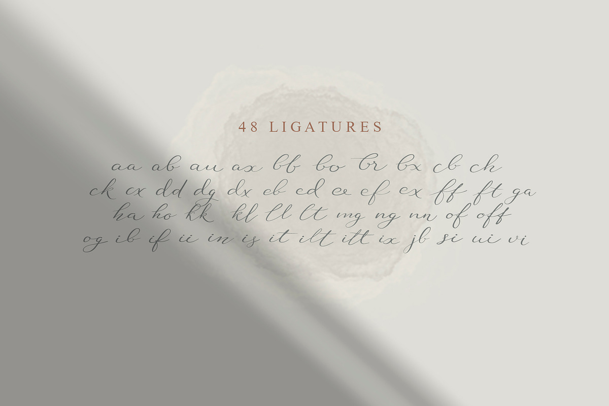 Mood Board script font, a Serif Font by Anna Zakharchenko (Photo 17 of 23)