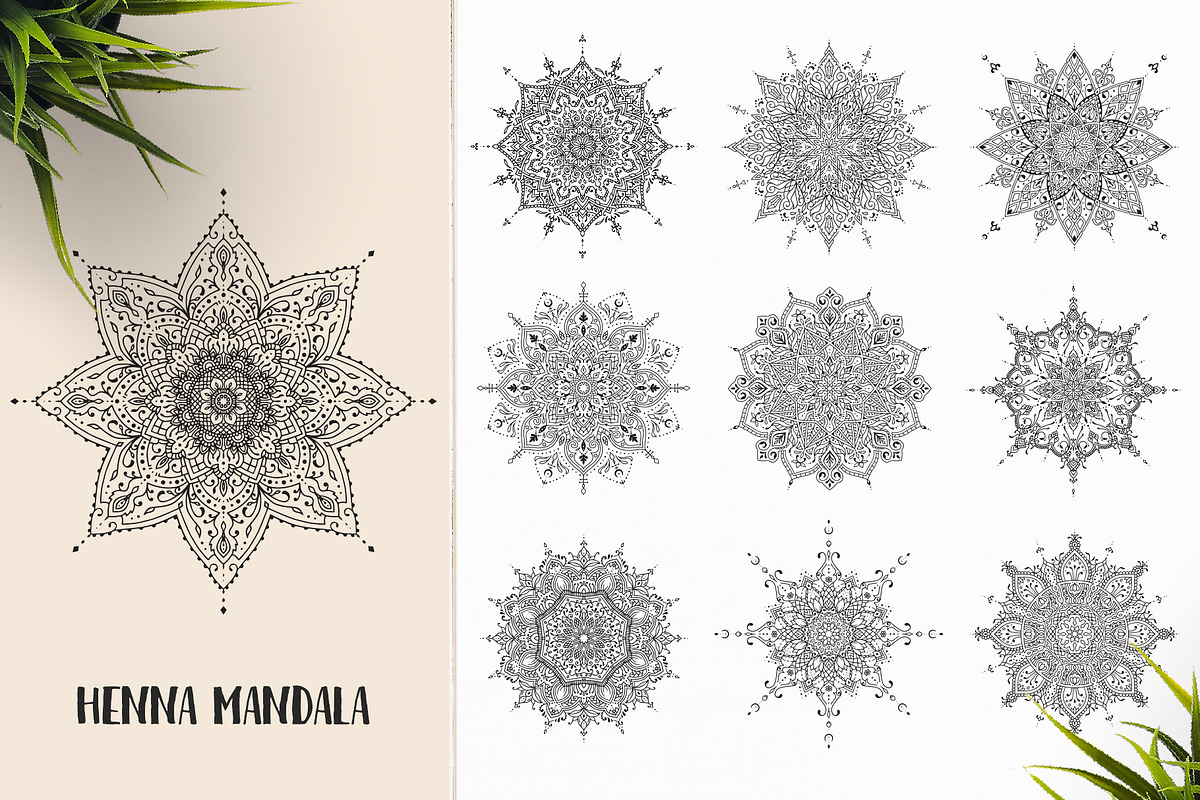 530 Vector Mandala Ornaments, an Animal Illustration by pixaroma (Photo 18 of 55)