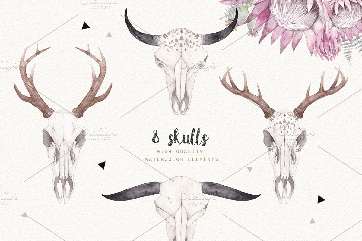 BOHO SKULLS watercolor set, an Illustration by Natali Smolova (Photo 3 of 7)