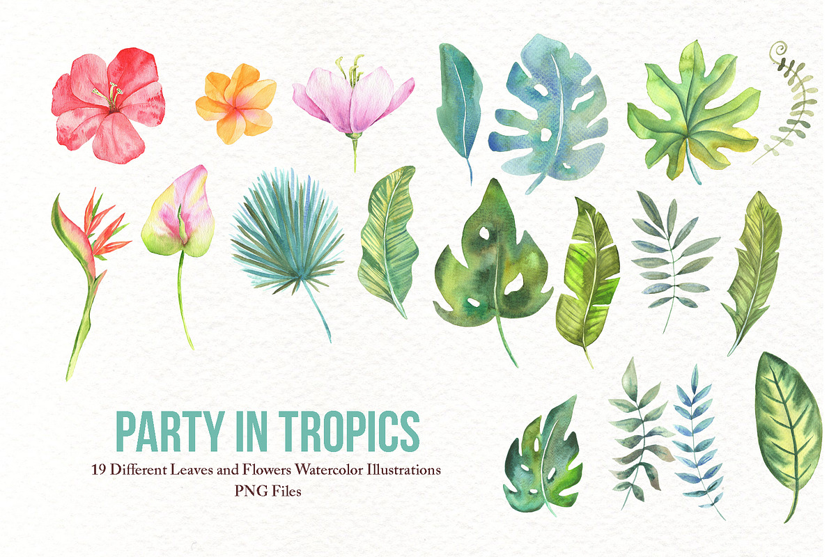 Watercolor Tropical Party, an Animal Illustration by TanataDesign (Photo 4 of 13)