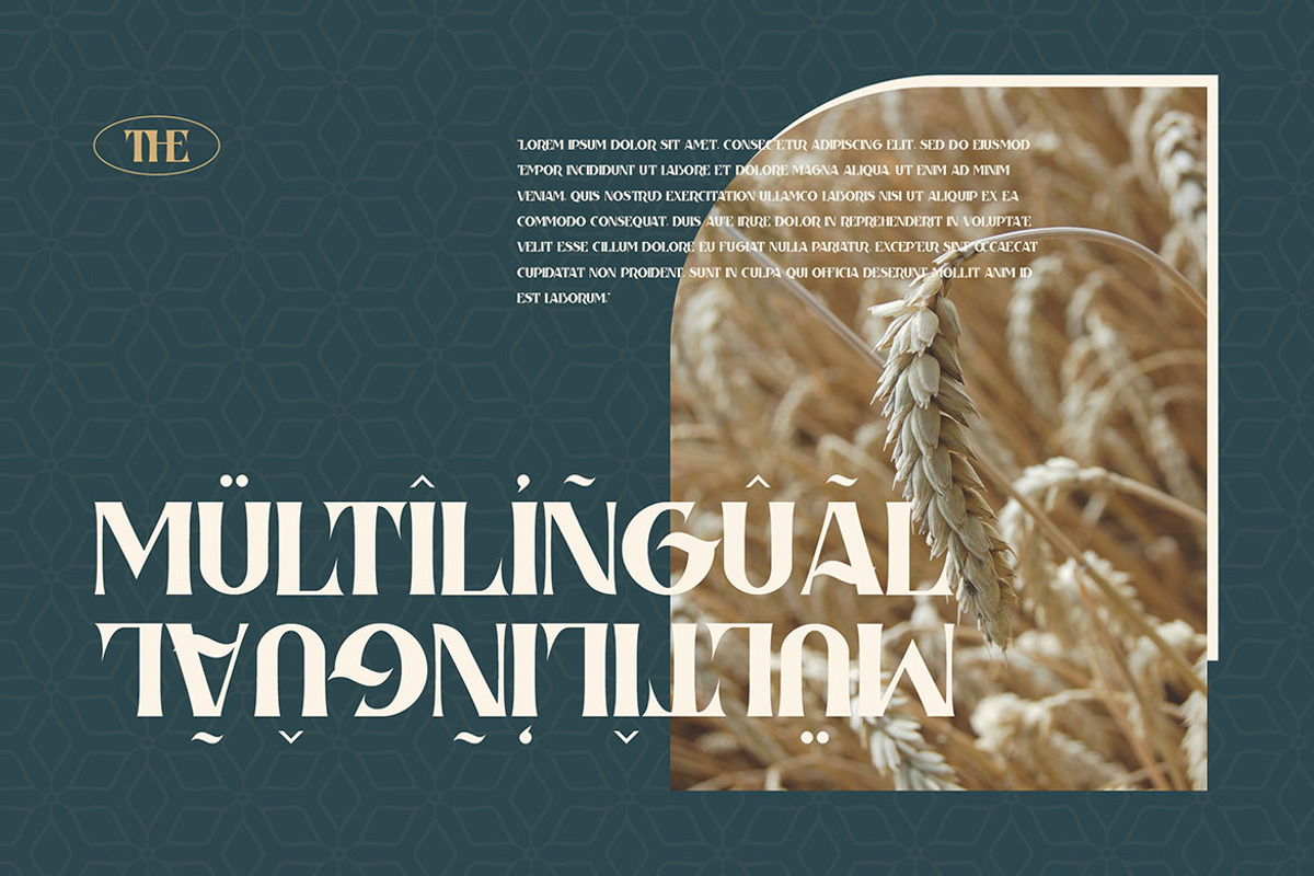 Havana Bold Serif, a Serif Font by JumboDesign (Photo 6 of 7)