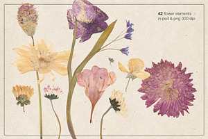 Herbarium Part 1: Flowers