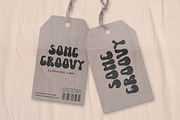 Wild Plants - Groovy Retro Display, a Font by Arendxstudio (Thumbnail 3 of 9)