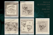 SKULLS, BUTTERFLIES AND ROSE HIP, a Texture Illustration by LanaDzi (Thumbnail 3 of 12)