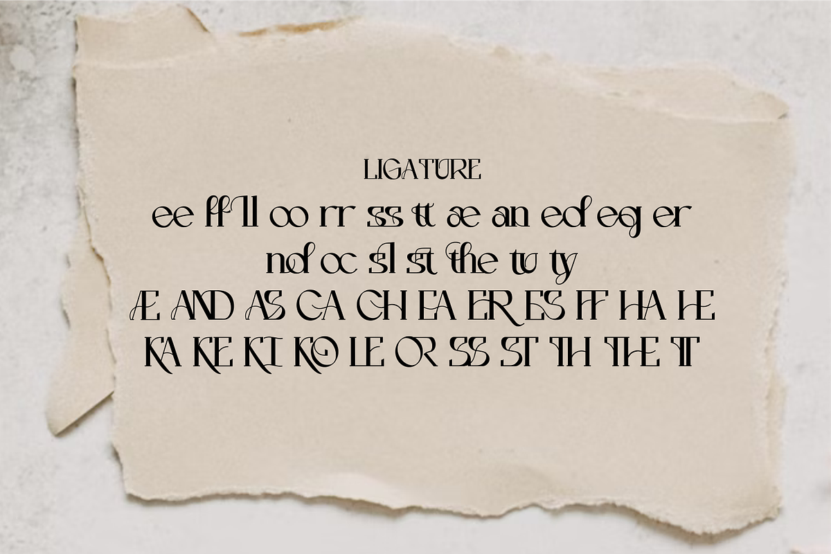 Sklines Chic Display Serif, a Serif Font by zamjumps (Photo 10 of 11)