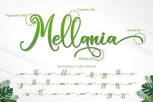 Green Leaves - Modern Calligrapy