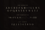 Amora Elegant Serif Font, a Serif Font by Graphicxell (Thumbnail 7 of 8)