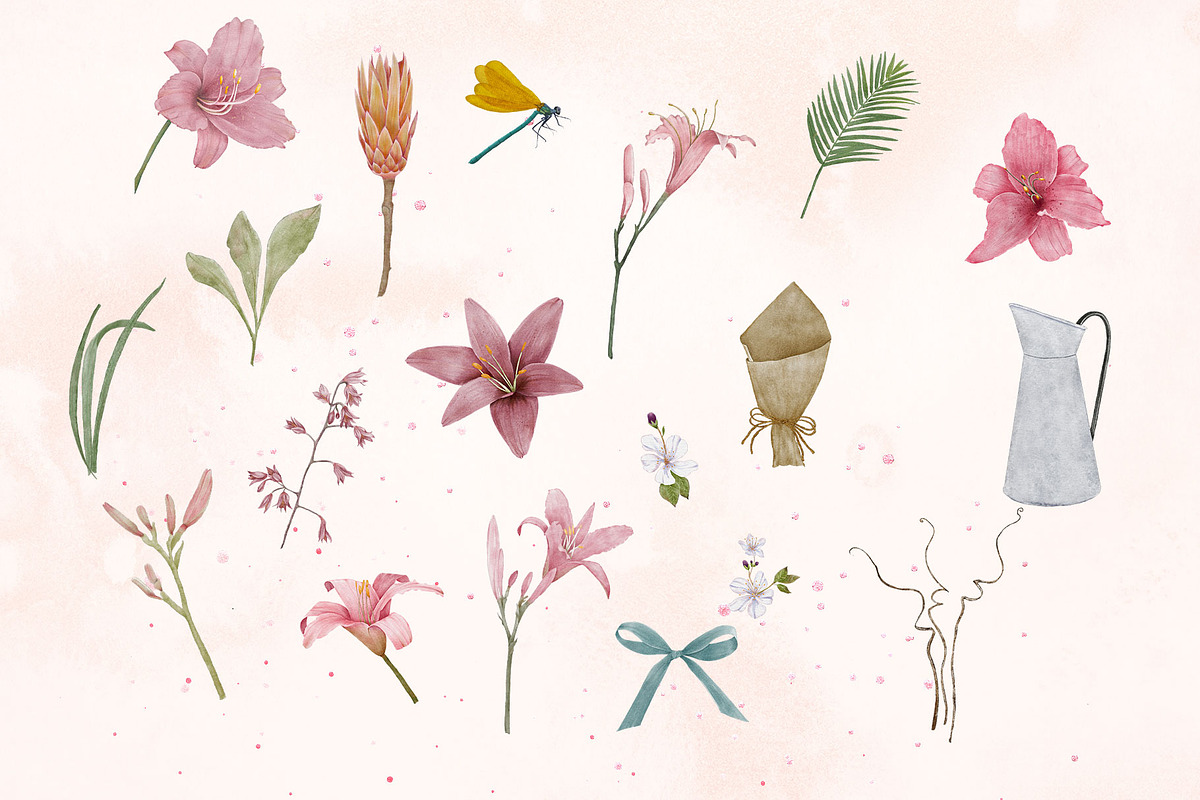Pink Daylily Graphic Set, an Illustration by Maggie Stilwell Design (Photo 5 of 6)